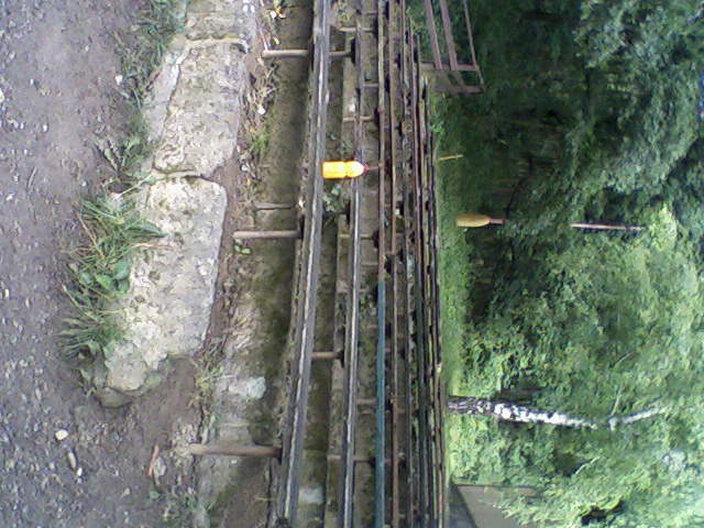 Fotka-0061.jpg