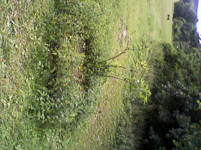 Fotka-0069.jpg